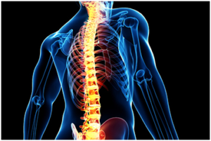 Tips After Spine Surgery
